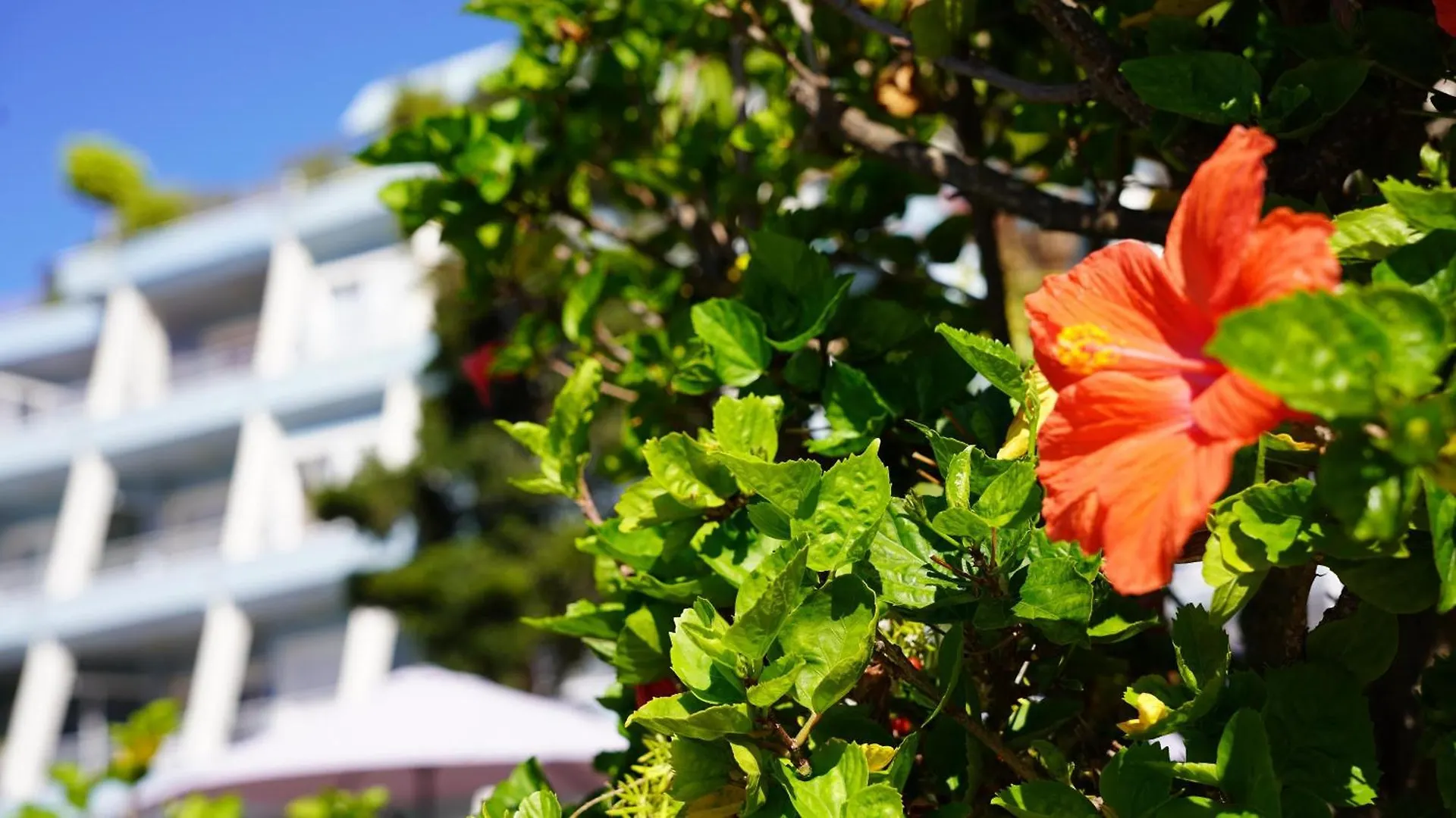 Coral La Quinta Park Suites Santa Úrsula Spagna